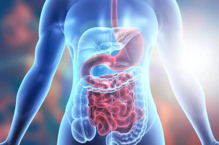 Gastroenterology-8